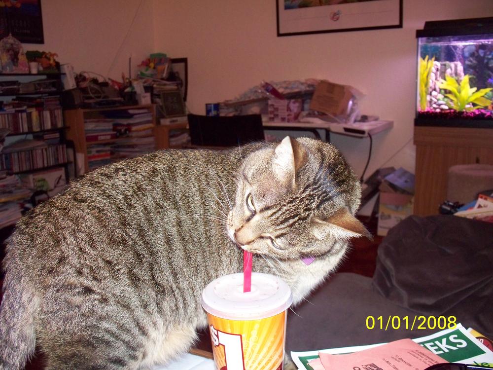 Emily vs The STRAW 3.. and this is not Photoshopped. This is just Emily being Emily.. but she did figure it out