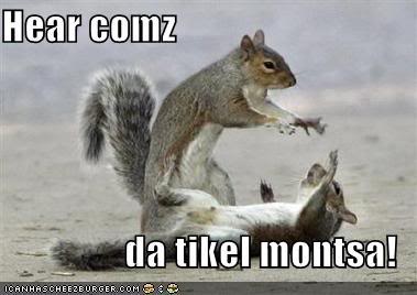 funny pictures squirrel tickling