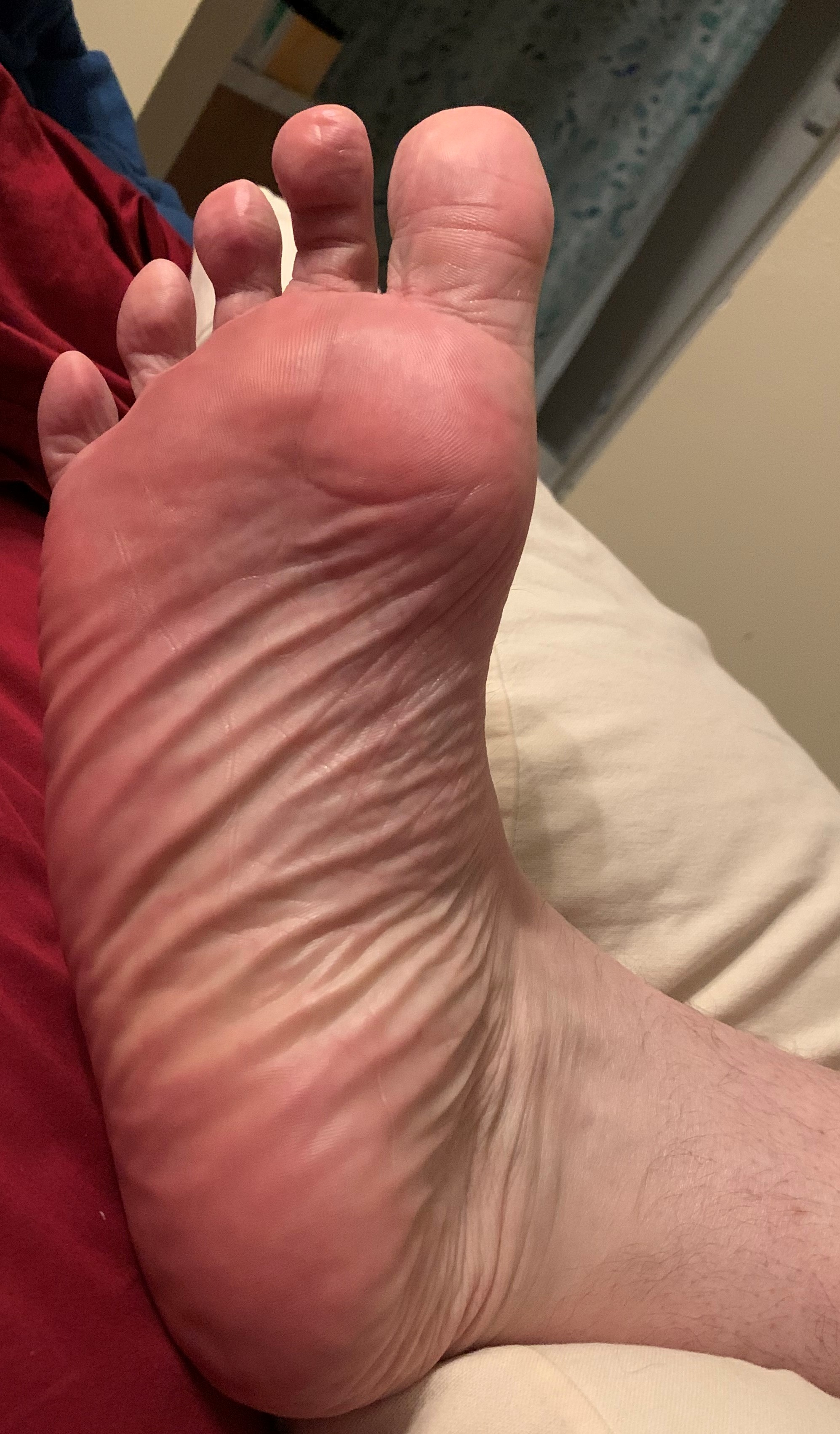 IMG 1034
