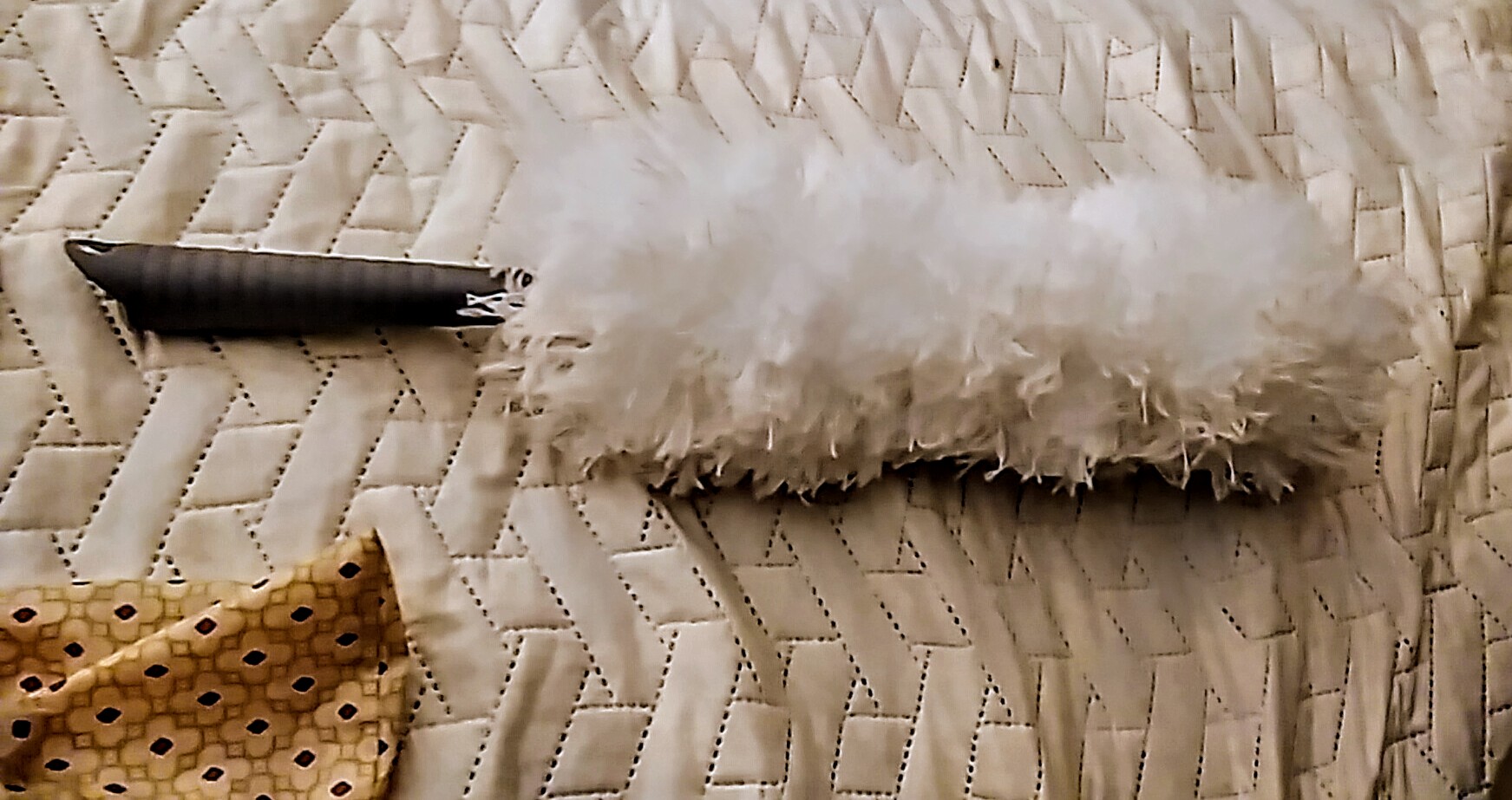 IMG 20221215 171028 1~2