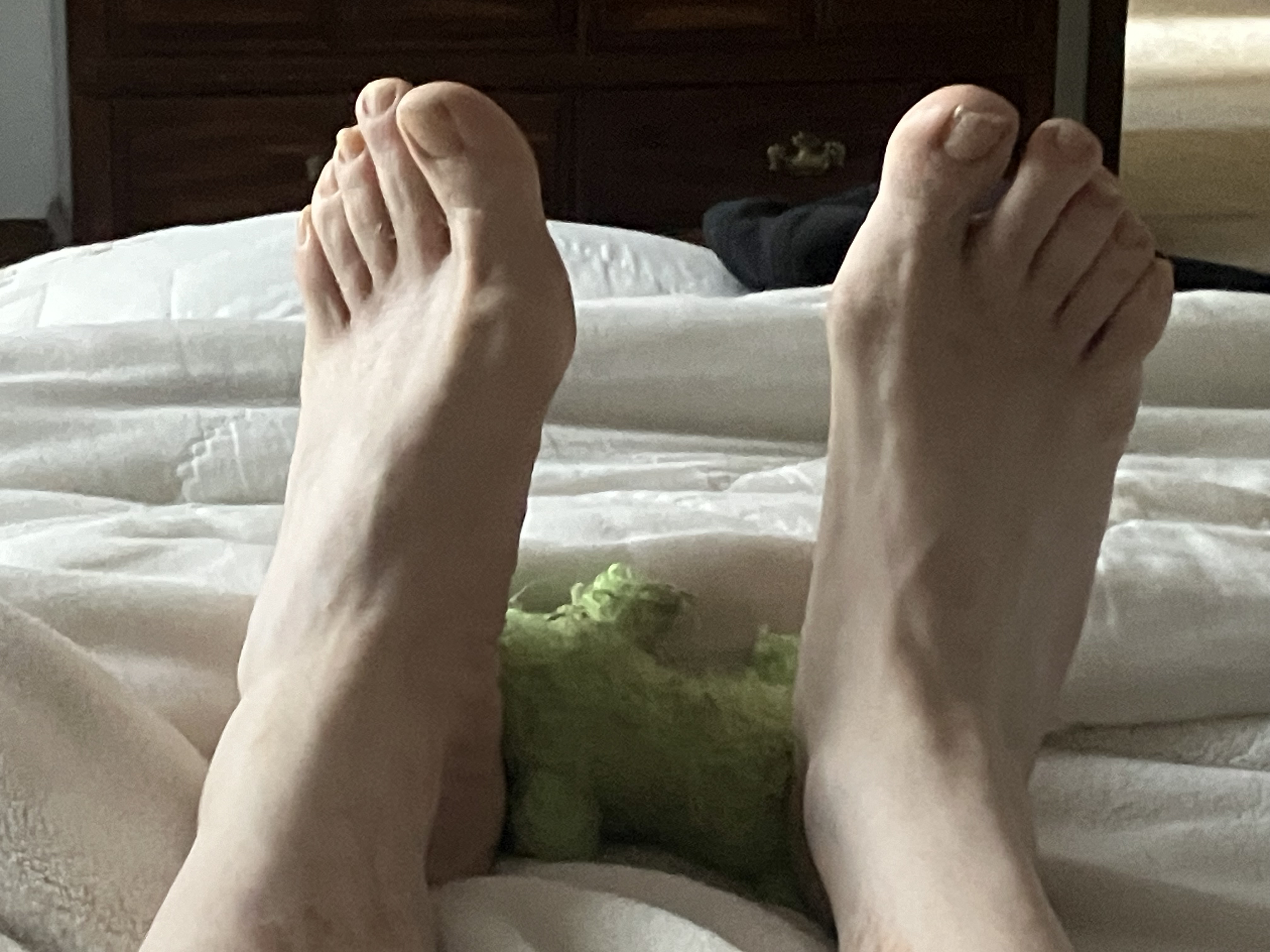 IMG_5102.jpeg