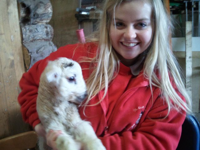 lamby