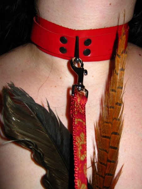 leash and collar = sexiest way to go