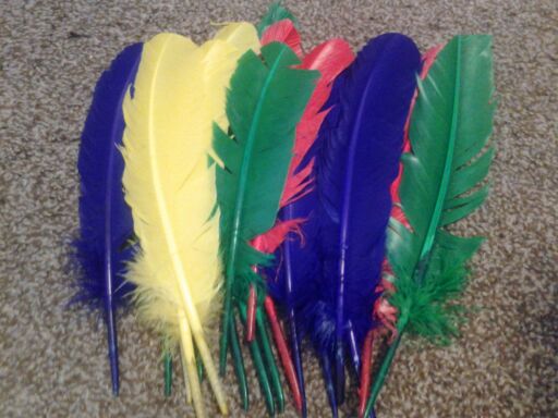 longer, bigger stiff quill feathers