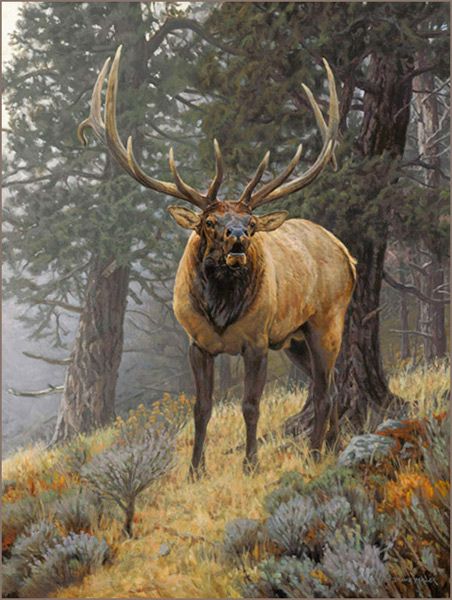 Love this painting