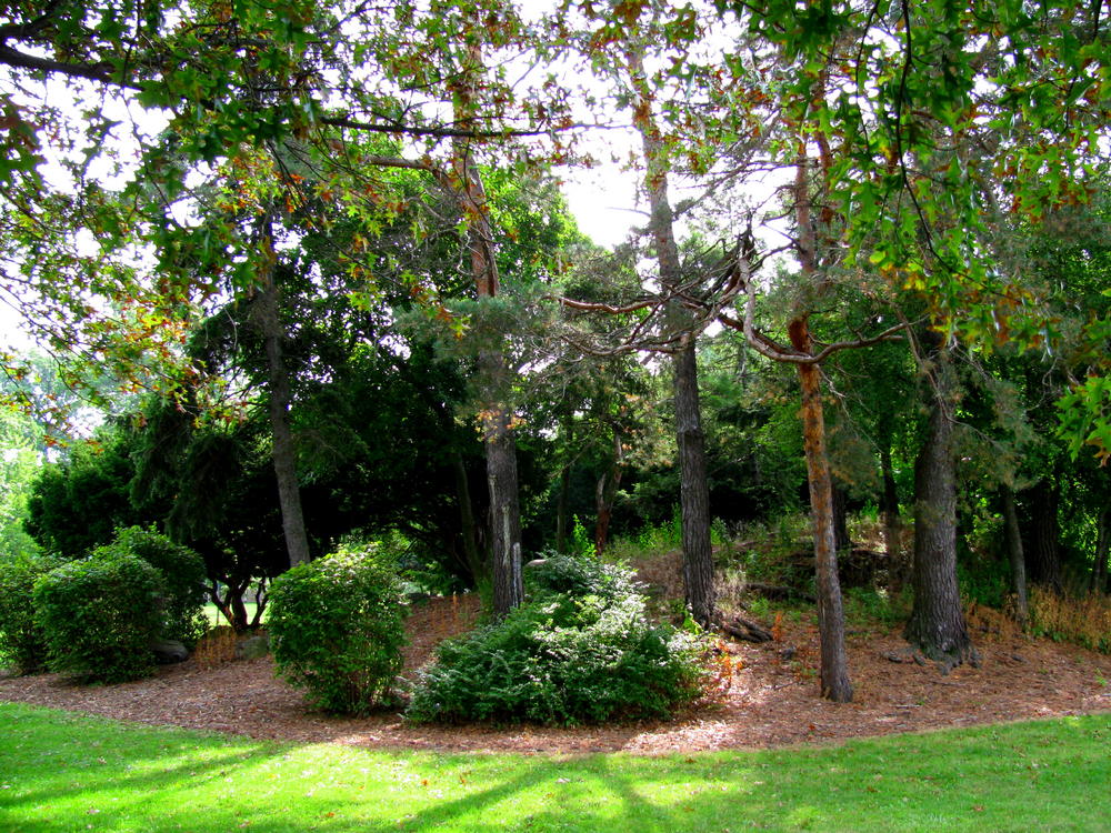 Memorial Park