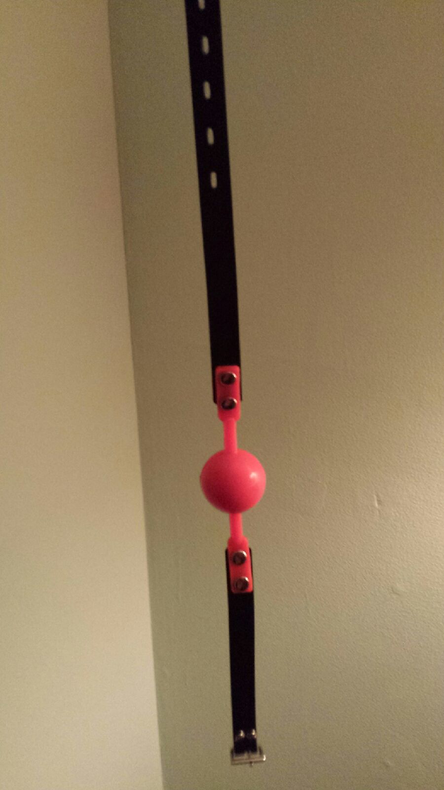 My new ball gag.
