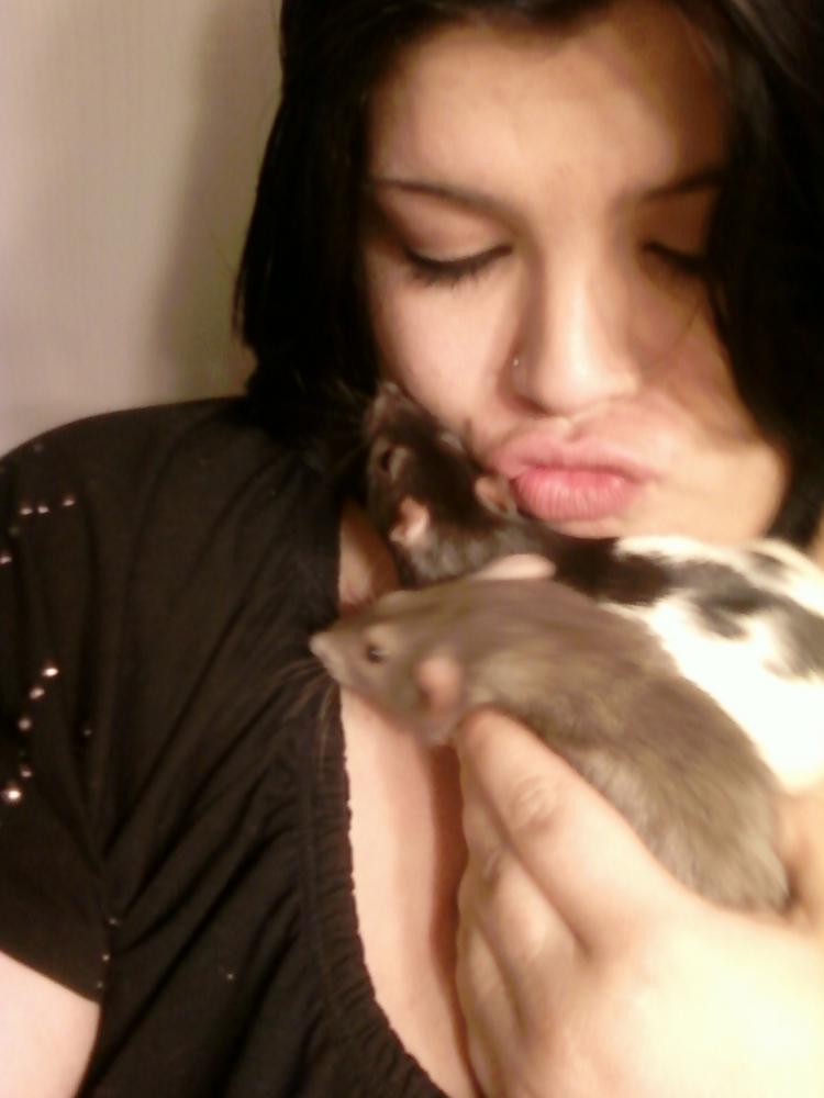 My two rats Mynx and Josie