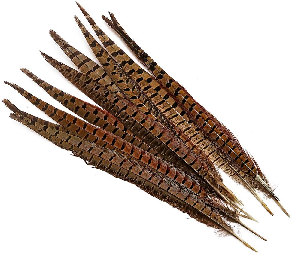 New feathers I bought! (1/2)