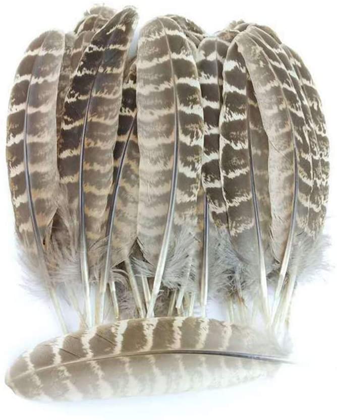 New feathers I bought! (2/2)