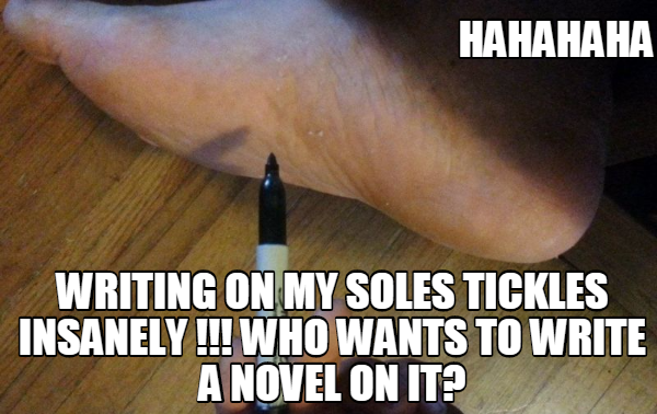 novel