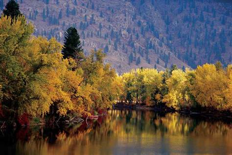 River during the fall