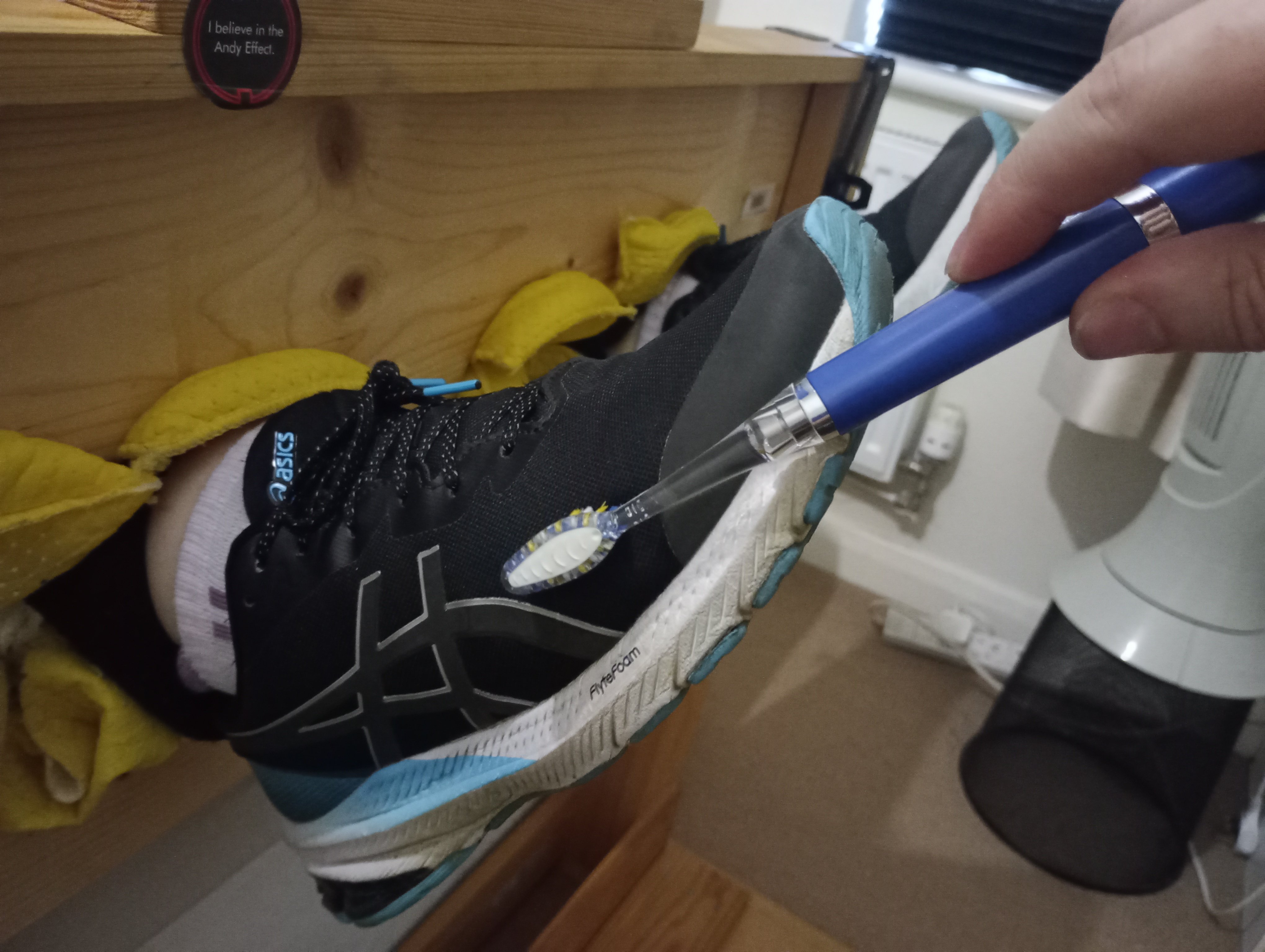shoes.jpg