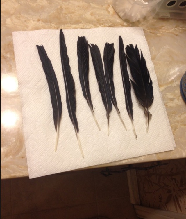Who can guess the purpose for each of these?