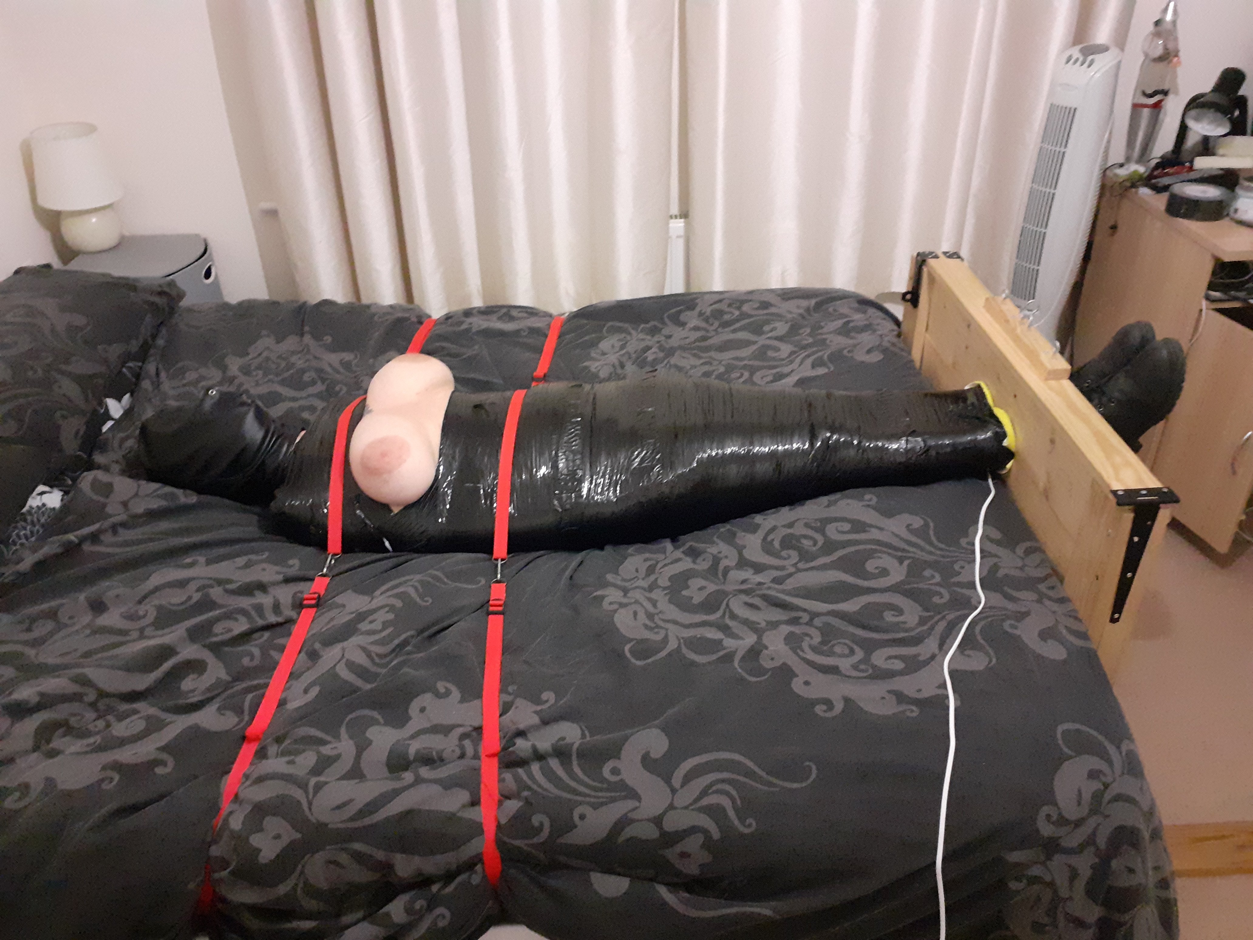 wrapped.jpg