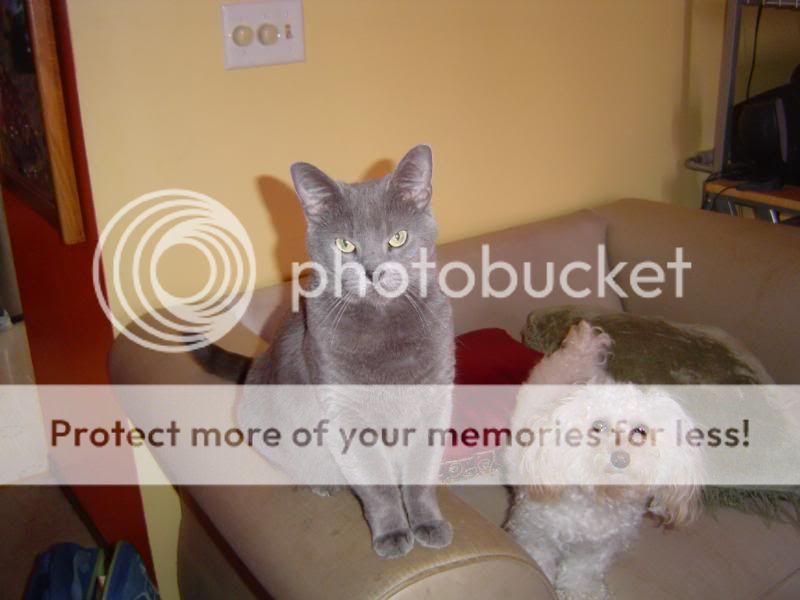 pics1002.jpg
