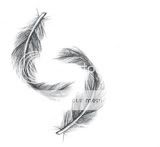 feather.jpg