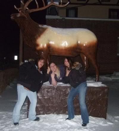 elk.jpg