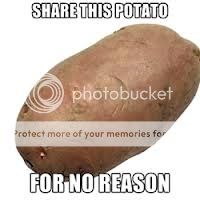 Share-this-potato-for-no-reason_zps0e4fe29e.jpg