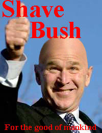 Shave_Bush_by_Alduronthegreat.jpg