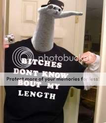 bitchesdontknowbouttallpet.jpg