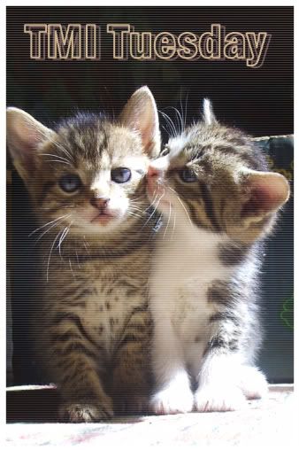 kittehlove.jpg