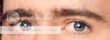 guesswho2.jpg