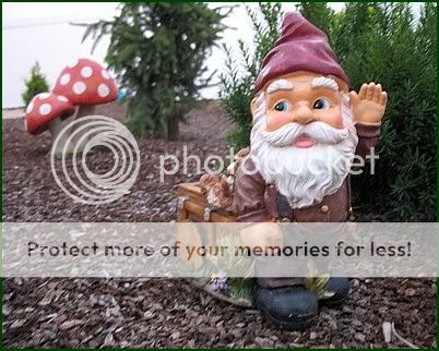 gnome.jpg