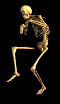 skelet10.gif