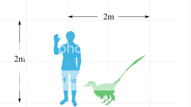 800px-Vraptor-scalesvg.png