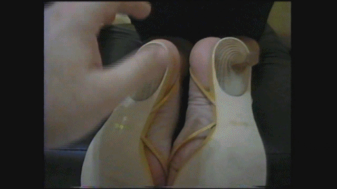 ale_2014_8.gif