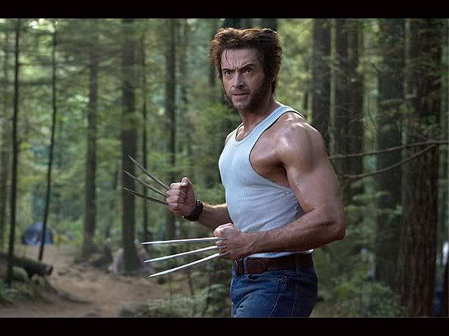 wolvie.jpg