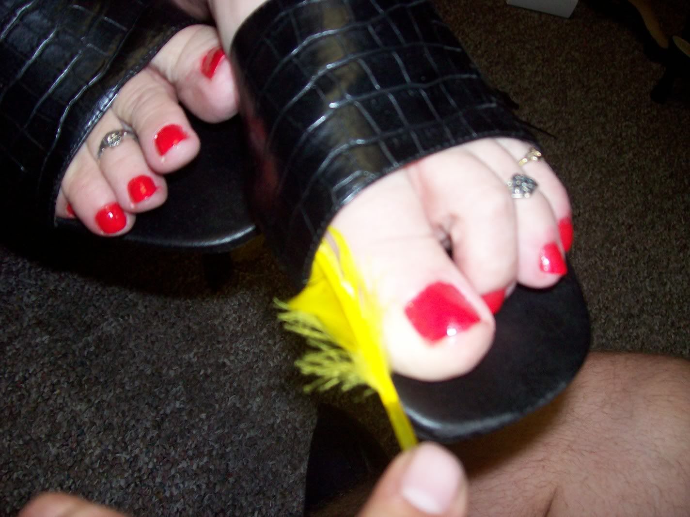 100_0509.jpg