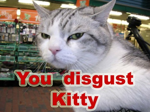 you-disgust-kitty-500x375.jpg