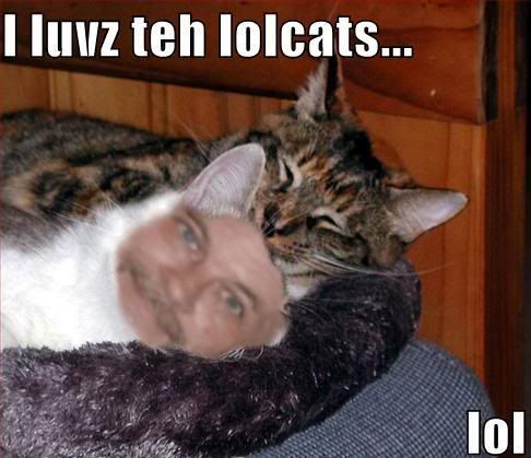 lolcat2.jpg