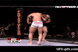 ufc94parisyan-throw.gif