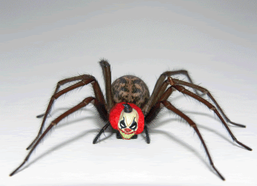 spiderclown2.gif