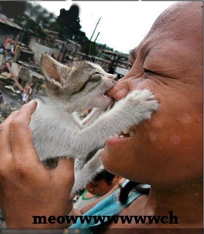meouch.jpg