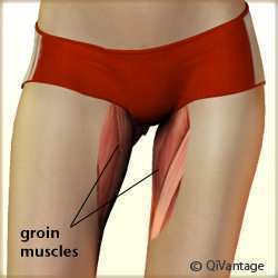 groin-pull.jpg