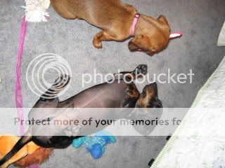 IMG_0433.jpg