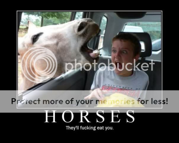 horses.jpg