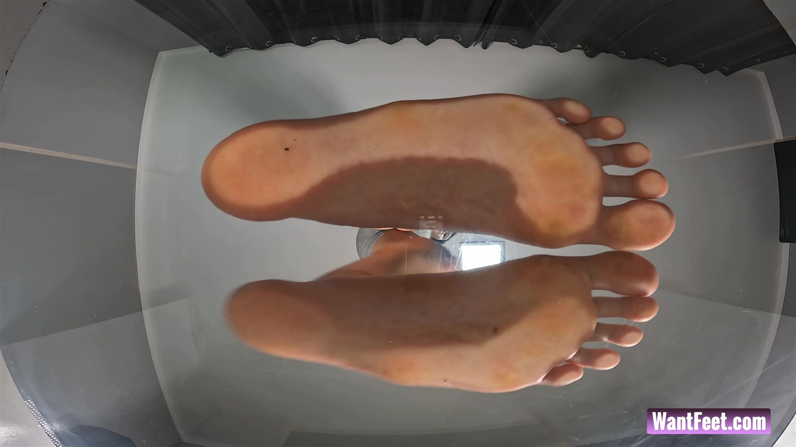 Giant-Soles-On-Glass.jpg