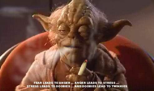 yoda%20on%20weed.jpg