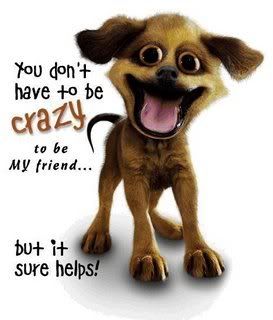 crazy_dog.jpg