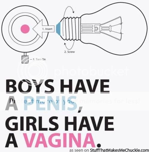 penis_vagina_lightbulb.jpg