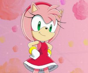 amy-rose-the-hedgehog-fem_4f8fedaa86e2e-p.jpg