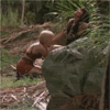 Icon31.gif