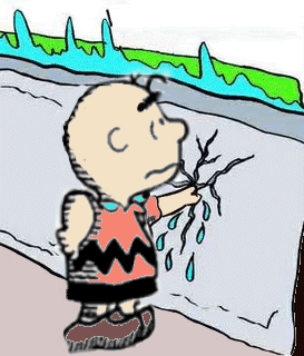 Animation1-2.gif