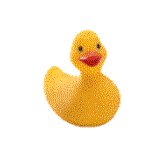 RubberDuck.gif