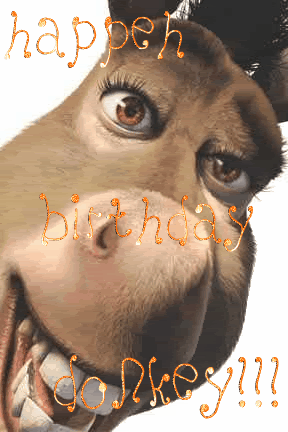 donkey.gif